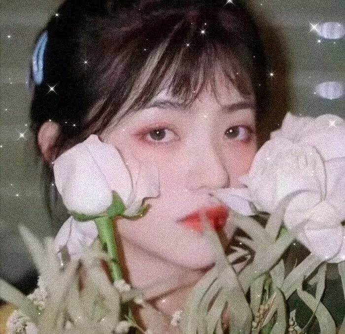 森林中的观察者